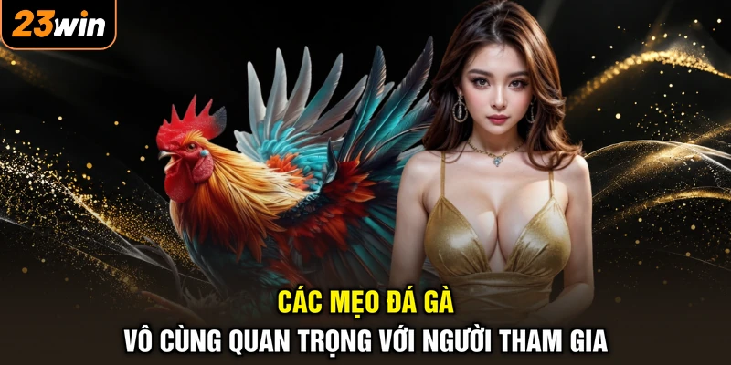 Mẹo Đá Gà - Bí Thuật Săn Thưởng, Thắng Lớn Từng Trận 2 Các mẹo đá gà vô cùng quan trọng với người tham gia