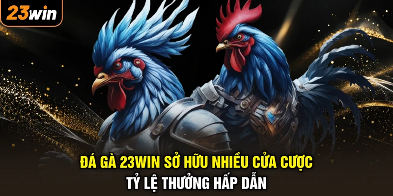 Đá gà 23WIN sở hữu nhiều cửa cược tỷ lệ thưởng hấp dẫn