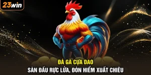 Đá Gà Cựa Dao - Sàn Đấu Rực Lửa, Đòn Hiểm Xuất Chiêu