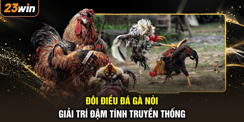 Đôi điều đá gà nòi giải trí đậm tính truyền thống