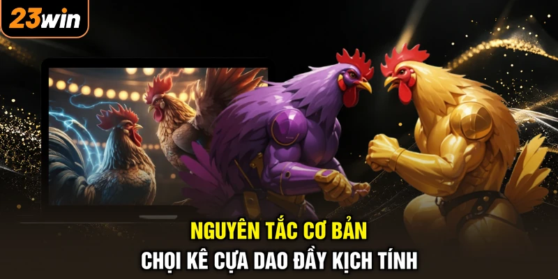 Nguyên tắc cơ bản chọi kê cựa dao đầy kịch tính