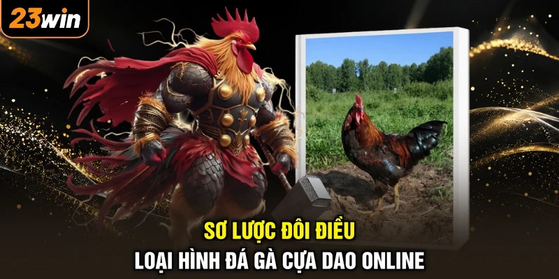 Sơ lược đôi điều loại hình đá gà cựa dao online